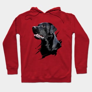 Labrador Hoodie